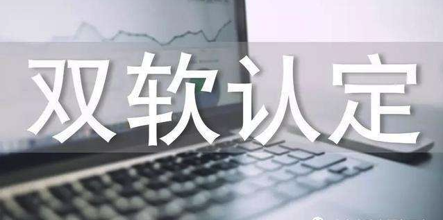 双软企业评估及认定