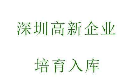 深圳高新技术企业认定